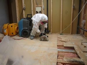 Technician Removing Mold From Store Floor