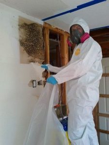 Mold Restoration Technician Doing Wall Removal